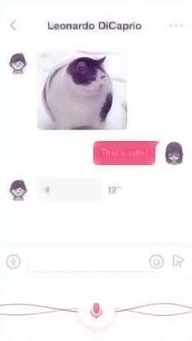 黑客靠什么攻击服务器软件程序维护界面